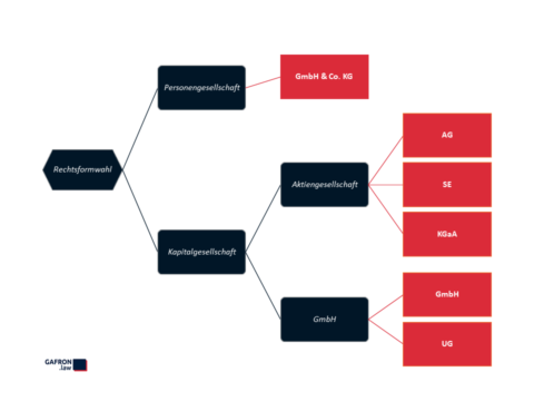 Rechtsformwahl Teil 1: Einführung - gafron.law